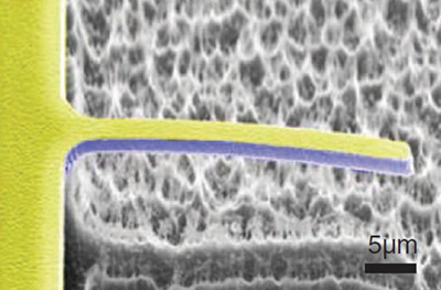 PMN-PT piezoelectric cantilever